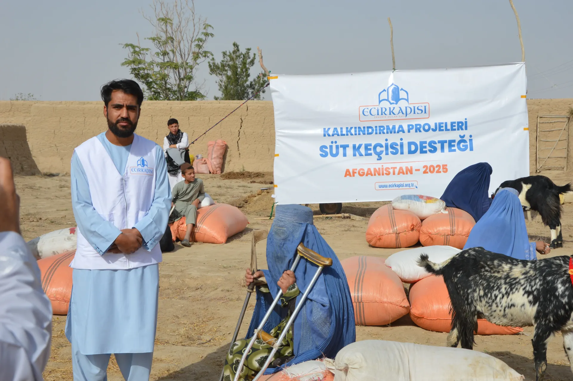 Afganistan Süt Keçisi Projesi