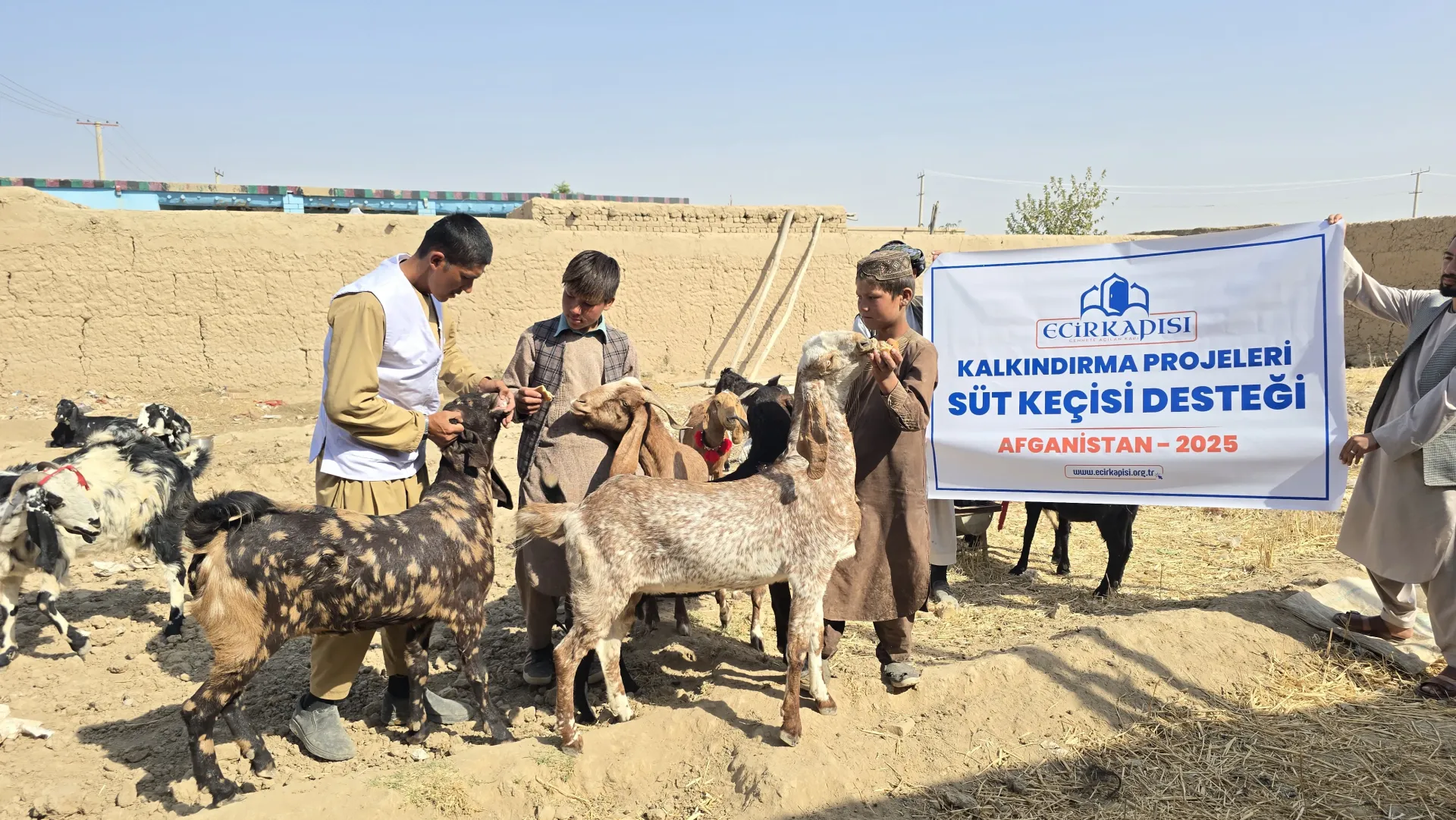 Afganistan Süt Keçisi Projesi