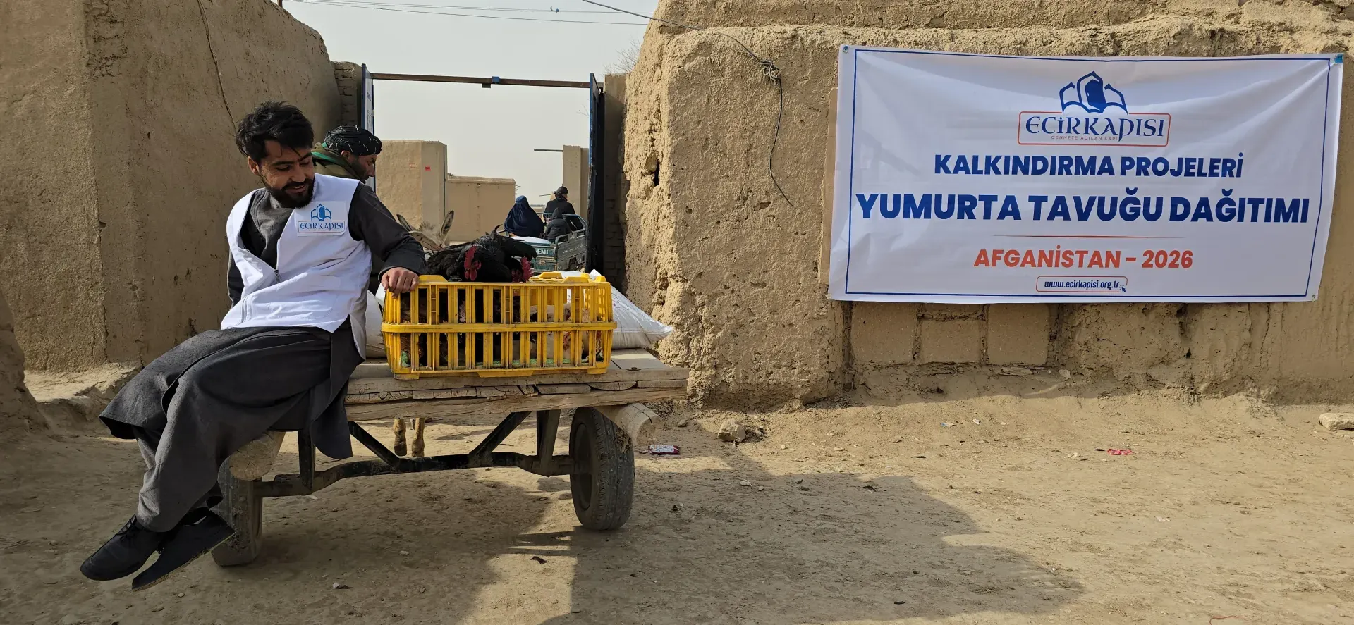 Kalkınma Projeleri - Yumurta Tavuğu | Afganistan