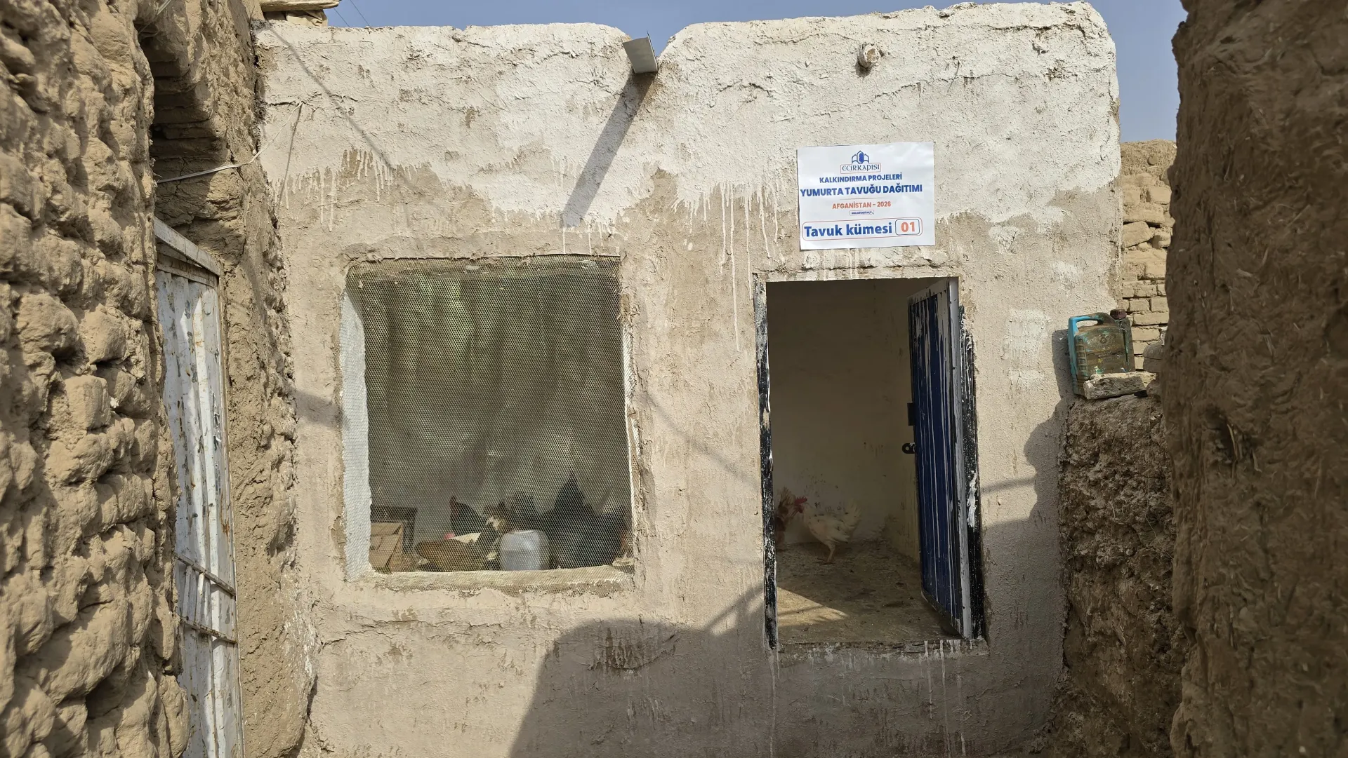 Afganistan Yumurta Tavuğu Projesi