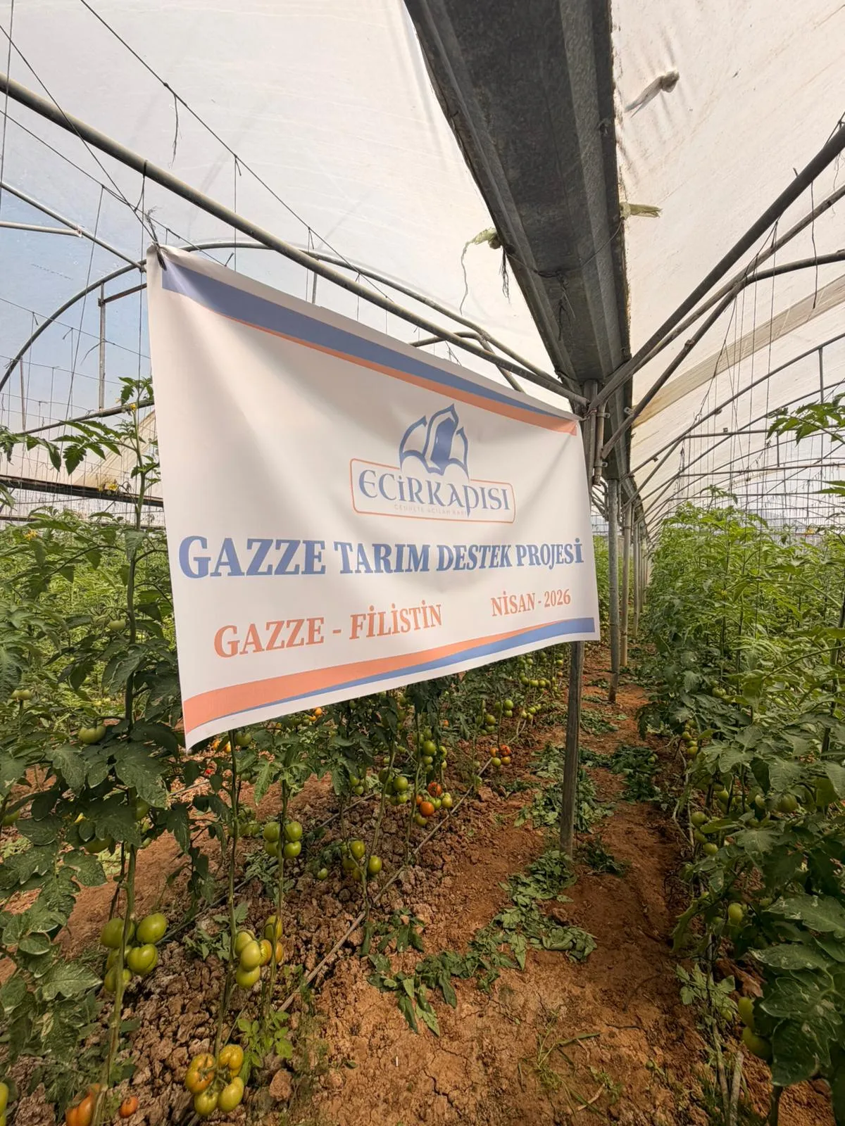 Gazze Tarım Projesi