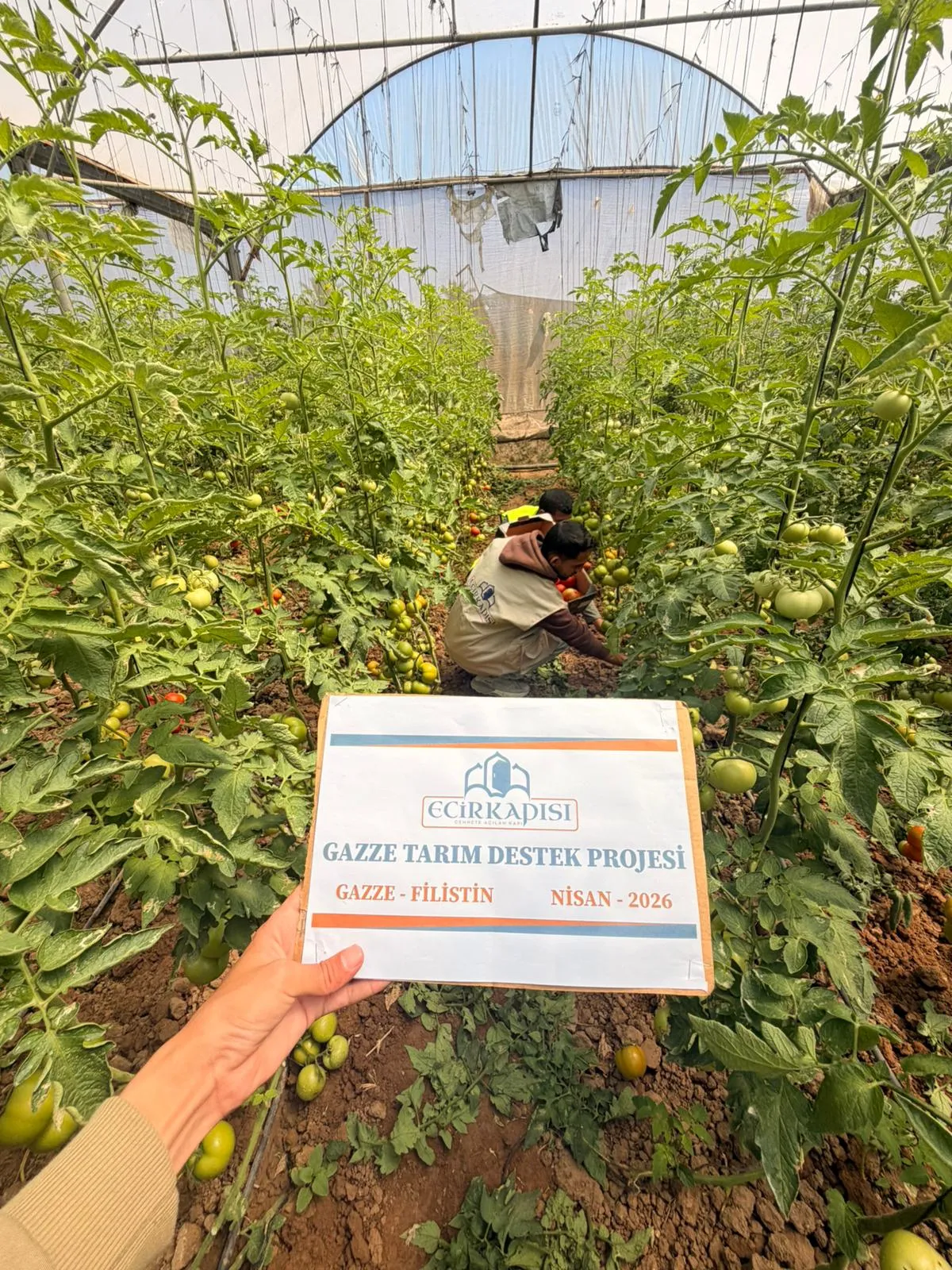 Gazze Tarım Projesi