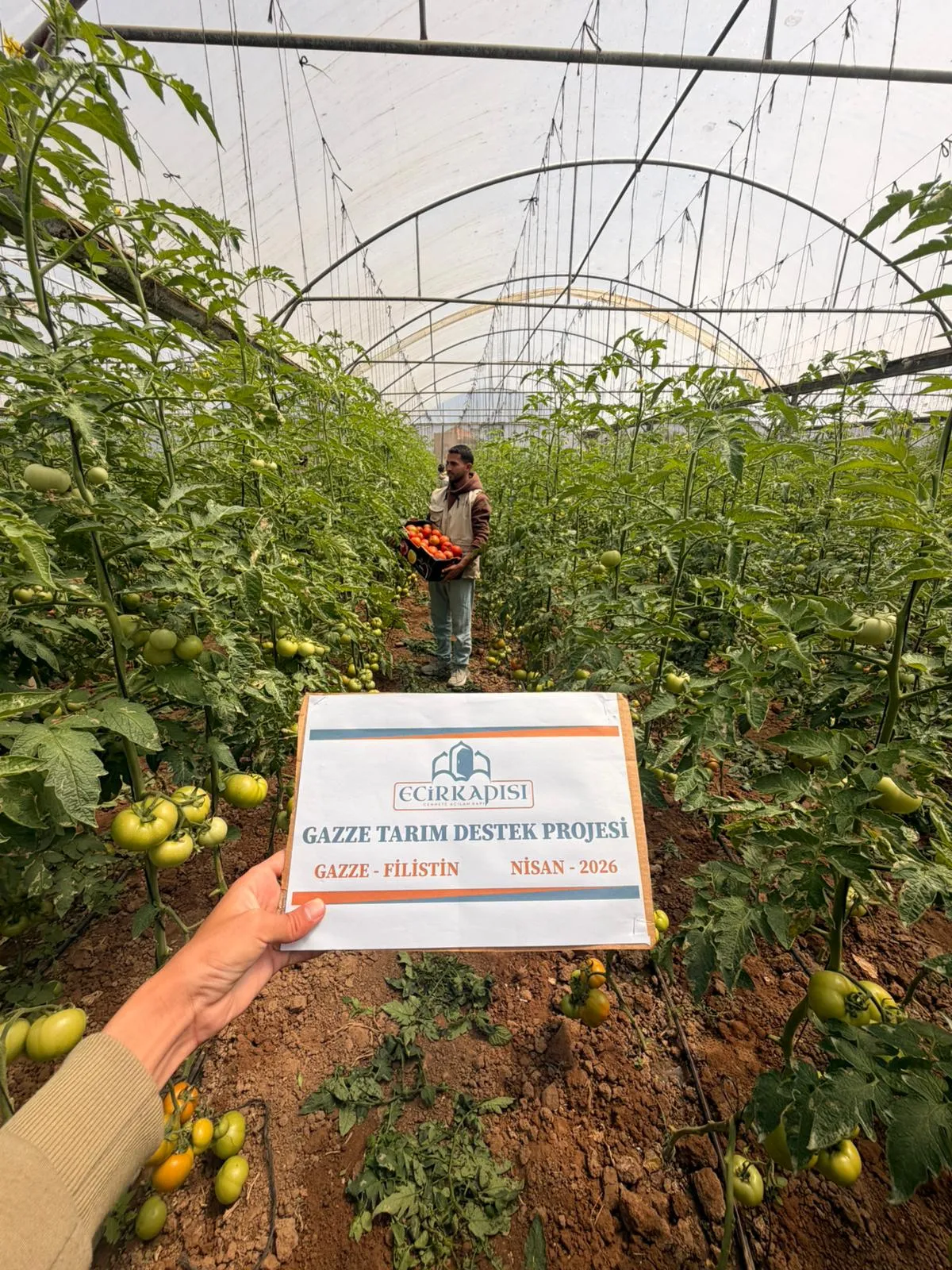 Gazze Tarım Projesi