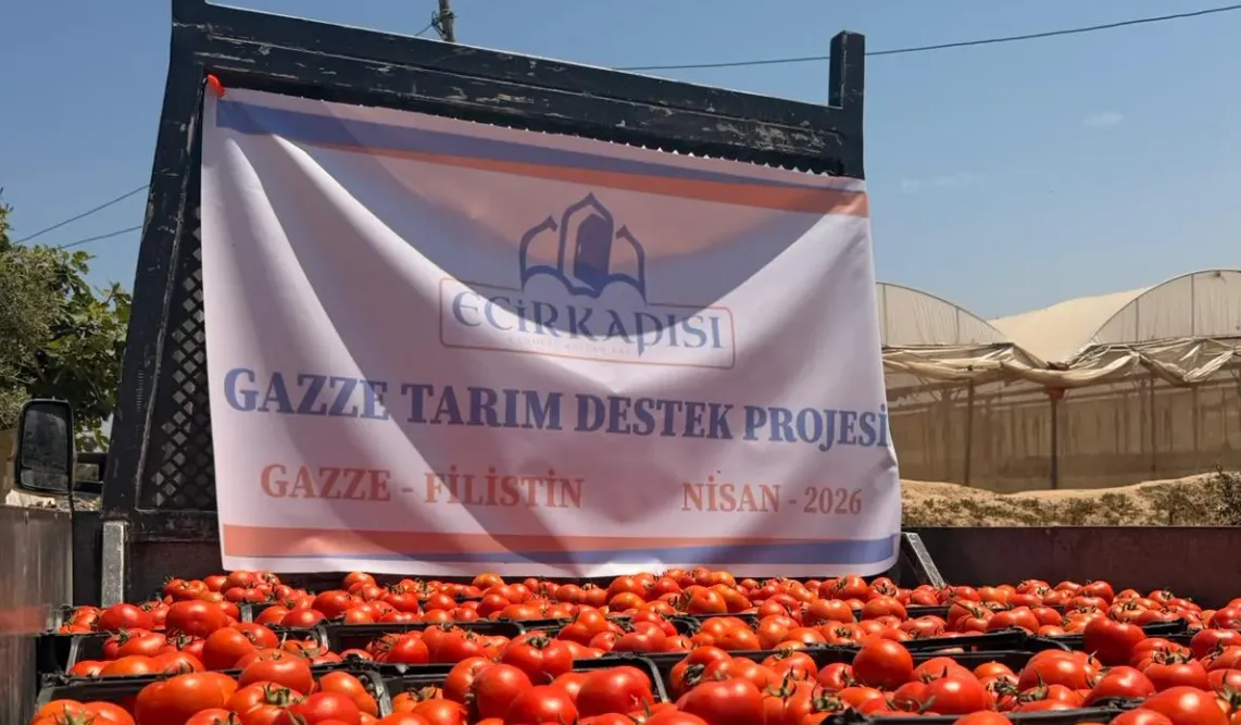 Kalkınma Projeleri - Tarım Destek | Gazze