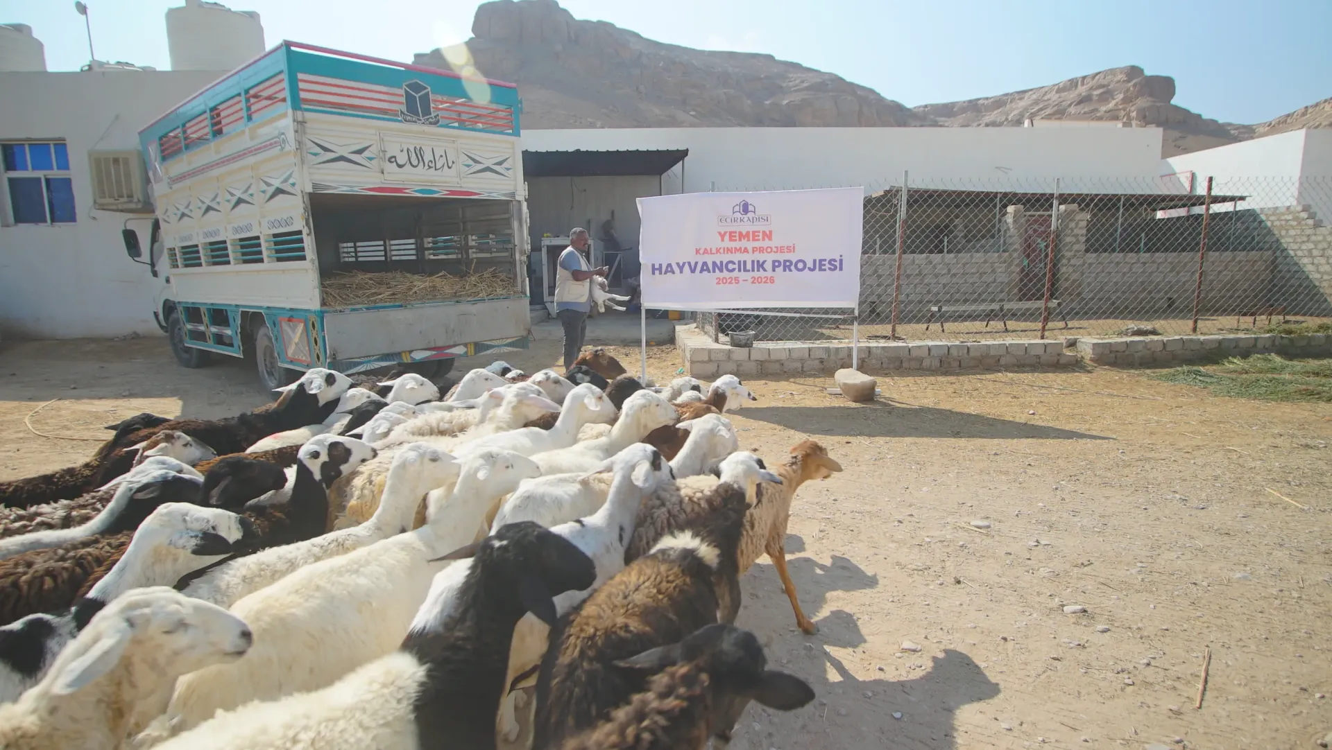 Yemen Hayvancılık Projesi