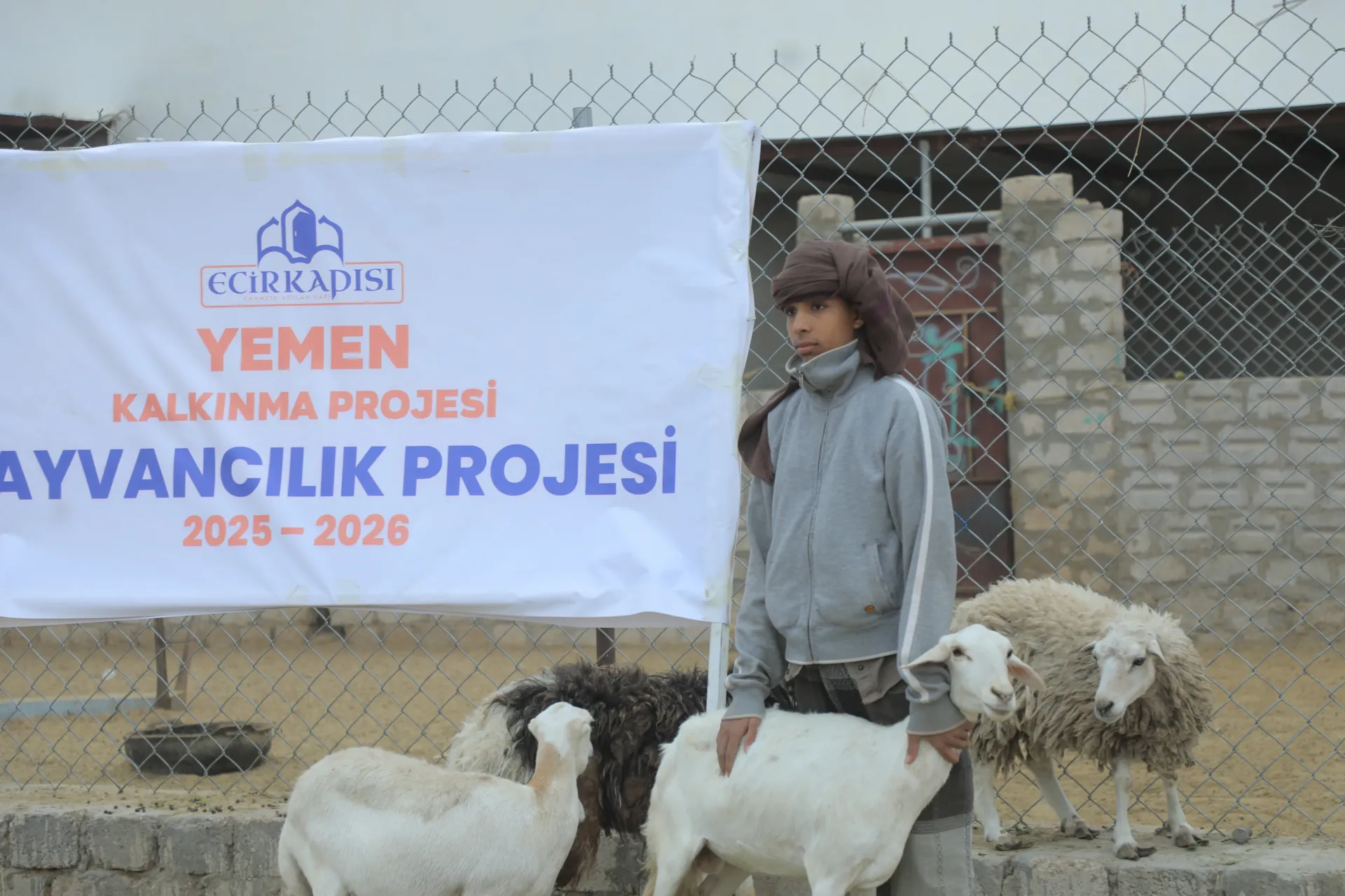 Hayvancılık Bakım