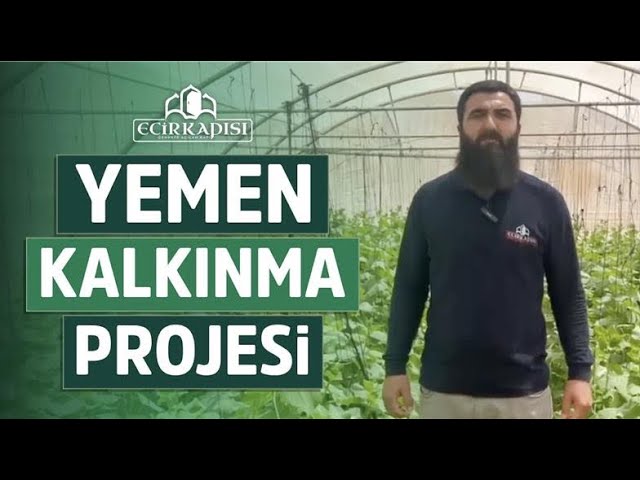 Yemen Kalkınma Projesi - Seracılık